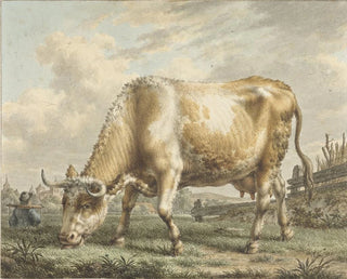 Jacob Cats - Grazing Cow.webp