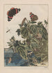 Präzise Beobachtungen zahlreicher kleiner, metamorphosierter Tiere Pl24 - Jacob L'Admiral — Ansicht des Kunstwerks
