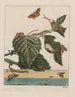L'Admiral — Ansicht des Kunstwerks