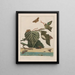 L'Admiral — gerahmtes Bild an der Wand