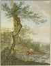 Landschaftsbild mit Wasser mit einer alten Weide im Wasser zwei Khe - Jacob Pynas — Ansicht des Kunstwerks
