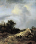 Landschaft mit Dünen und Zaun - Jacob van Ruisdael — Ansicht des Kunstwerks
