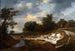 Falaise sablonneuse - Jacob van Ruisdael — Ansicht des Kunstwerks