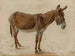 Ein Esel - Jacques-Laurent Agasse — Ansicht des Kunstwerks