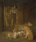 Gruppe von Welpen, die zwischen einem Löwen und einer Tigress geboren wurden - Jacques-Laurent Agasse — Ansicht des Kunstwerks