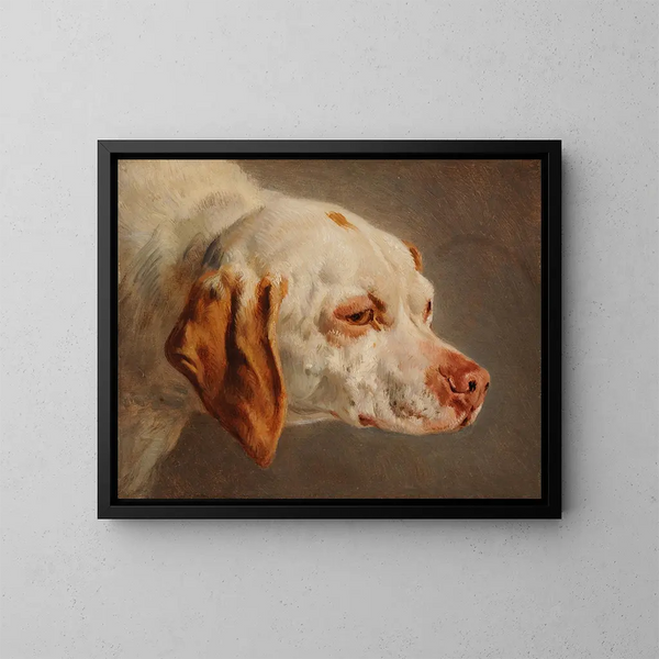 Kopf eines weißen und braunen Jagdhundes - Jacques-Raymond Brascassat — gerahmtes Bild an der Wand