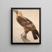 L'Aigle de Thèbes - Jacques Barraband — gerahmtes Bild an der Wand