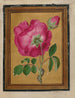 Blumen, Schmetterlinge und Insekten, Pl3 - Jacques Le Moyne de Morgues — Ansicht des Kunstwerks