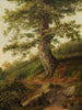 Alter Olivenbaum bei Camaldoli - Jakob Philipp Hackert — Ansicht des Kunstwerks