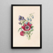 Anémone campanule tradescantia - James Ackerman — gerahmtes Bild an der Wand