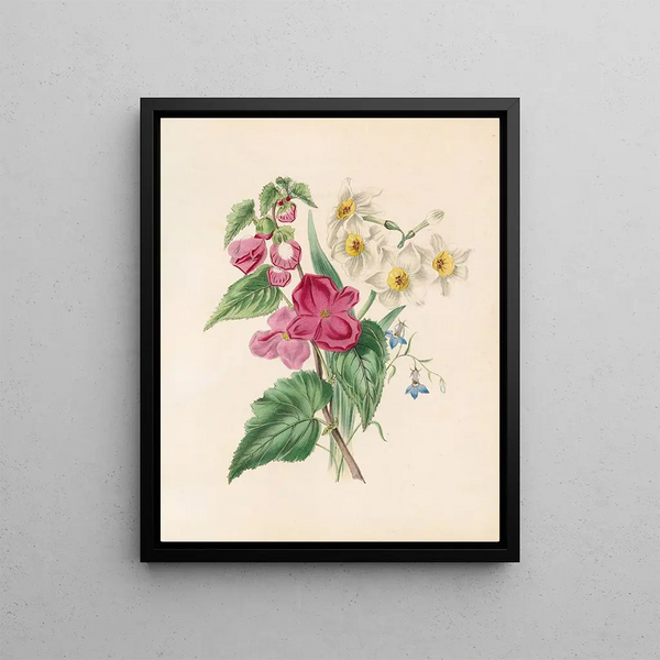 Bignonia martiana Narcisse und Blaue Lobelie - James Ackerman — gerahmtes Bild an der Wand
