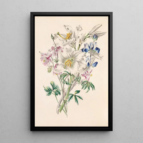James Ackerman - Columbine White Lily And Lupine.webp