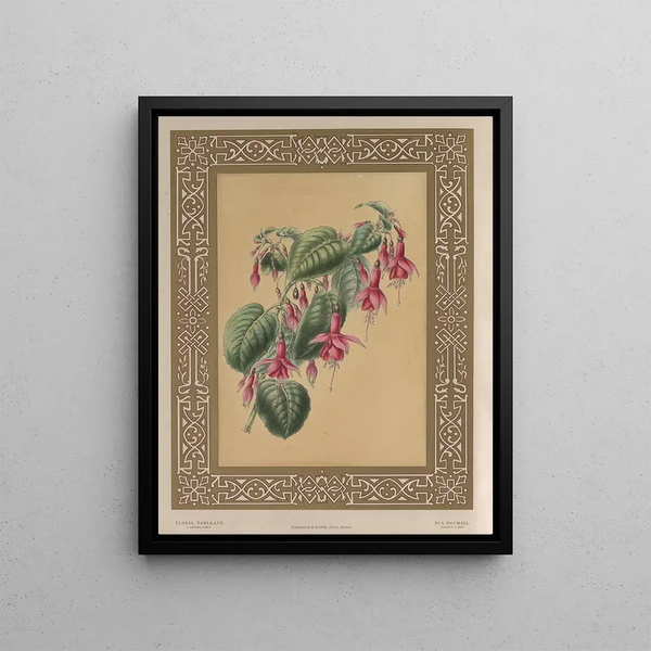 James Andrews - The Fuchsia.webp