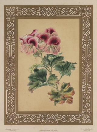 James Andrews - The Geranium.webp