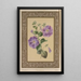 La pétunia - James Andrews — gerahmtes Bild an der Wand