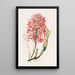 Laelia Superbiens - James Bateman — gerahmtes Bild an der Wand