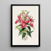 Sobralia Macrantha - James Bateman — gerahmtes Bild an der Wand