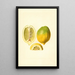 Citrus limon - James Marion Shull — gerahmtes Bild an der Wand