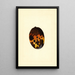 Mangifera indica Fernandez - James Marion Shull — gerahmtes Bild an der Wand