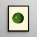 Persea Winslowson - James Marion Shull — gerahmtes Bild an der Wand