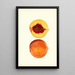 Prunus persica Shipper - James Marion Shull — gerahmtes Bild an der Wand