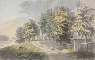 James Miller - Miller Lane Trees by River.webp