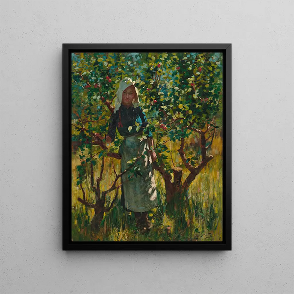 Midi - James Nairn — gerahmtes Bild an der Wand