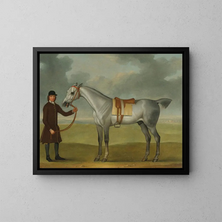 James Seymour - Mr Thomas Pantons Crab A Grey Racehorse Being Held By A Groom On Newmarket Heath.webp