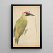 Pic vert - James Sowerby — gerahmtes Bild an der Wand