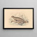 Der Leopardenrobben - James Stewart — gerahmtes Bild an der Wand