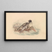 Das Siegel des Ozeans von Lepechin - James Stewart — gerahmtes Bild an der Wand