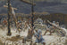 Die Kreuzigung - James Tissot — Ansicht des Kunstwerks