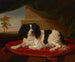 Ein King Charles Spaniel auf einem roten Kissen - James Ward — Ansicht des Kunstwerks