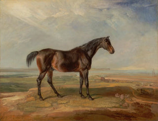 James Ward - Dr Syntax a Bay Racehorse Standing in a Coastal Landscape an Estuary Beyond.webp