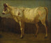 Portrait einer Kuh - James Ward — Ansicht des Kunstwerks