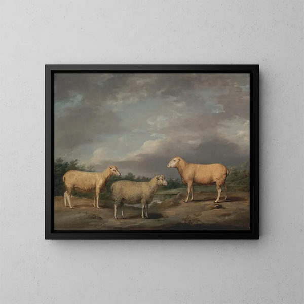 Schafe Ryelands, der Widder des Königs, die Mutterschaf des Königs und der Widder von Lord Somerville - James Ward — gerahmtes Bild an der Wand