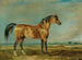L'arabische Hengst des Marquis de Londonderry in einer Landschaft - James Ward — Ansicht des Kunstwerks