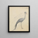 Eine Kran - James de Carle Sowerby — gerahmtes Bild an der Wand