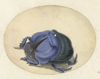 Jan Augustin van der Goes - Blauwe kever.webp