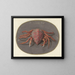 Krabbe - Jan Augustin van der Goes — gerahmtes Bild an der Wand