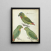 Perruches des Indes orientales - Jan Brandes — gerahmtes Bild an der Wand
