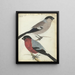 Pinsons - Jan Brandes — gerahmtes Bild an der Wand