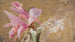 Orchidee - Jan Cybis — Ansicht des Kunstwerks