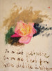 Rose - Jan Cybis — Ansicht des Kunstwerks