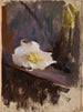 Studie von weißen Blumen - Jan Cybis — Ansicht des Kunstwerks