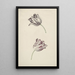 Zwei weiße und rote Tulpen - Jan Jansz van der Vinne — gerahmtes Bild an der Wand