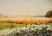 Feld der Kohlköpfe - Jan Stanisławski — Ansicht des Kunstwerks