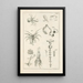 Le livre de la nature ou L'histoire des insectes Pl11 - Jan Swammerdam — gerahmtes Bild an der Wand