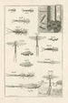 Le livre de la nature ou L'histoire des insectes Pl13 - Jan Swammerdam — Ansicht des Kunstwerks