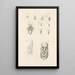 Le livre de la nature ou L'histoire des insectes Pl25 - Jan Swammerdam — gerahmtes Bild an der Wand